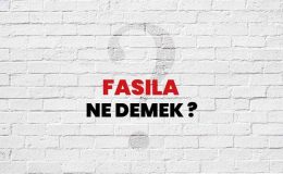 Fâsıla
