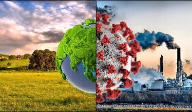 Küresel Isınma ve İklim Değişikliğinin Enfeksiyon Hastalıklarına Etkisi