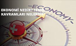 Ekonomi Nedir?