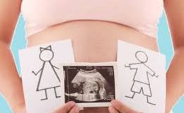 Tüp Bebek’te Cinsiyet Seçimi