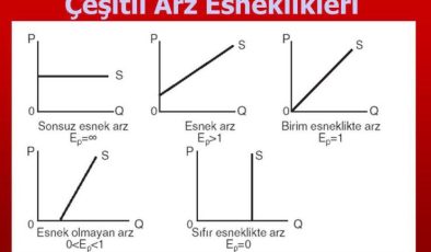 Arz, Talep Ve Esneklik Analizleri İle İlgili Örnekler