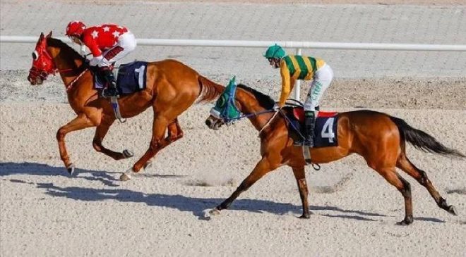 Atçılık Nedir? Türkiye’de Atçılığın ve At Yarışlarının Tarihçesi