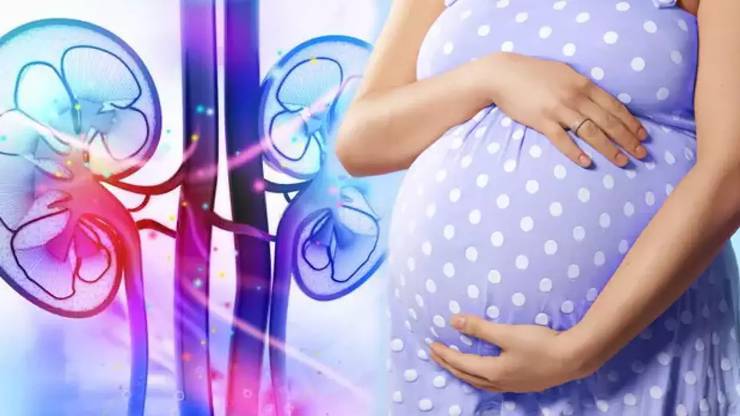 Hamilelikte Böbrek Taşı