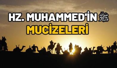 Peygamberimizin Mucizeleri, Üstün Kişiliği, Seçkin Şahsiyeti