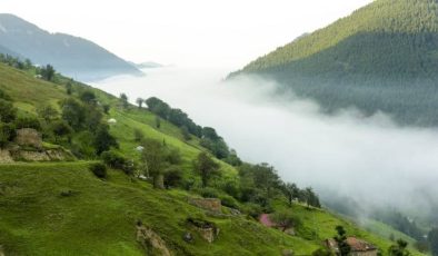 Yayla Tanımlandırılması