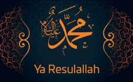 Yolunu Hedefledik Ya Rasülallah