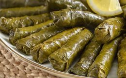 Zeytinyağlı Taze Yaprak Dolması