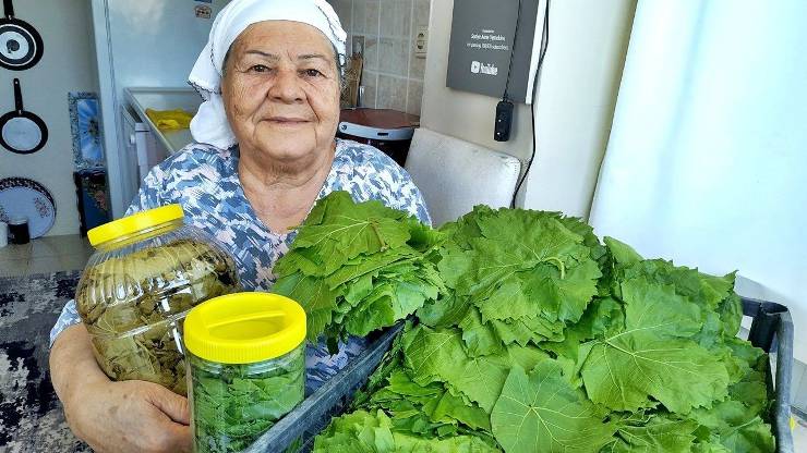 Kuru Yaprak Salamurası