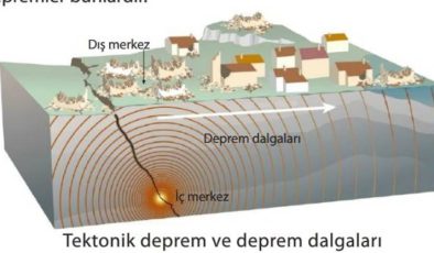 Seizma Hareketleri (Depremler)