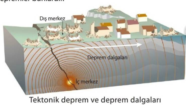 Seizma Hareketleri (Depremler)