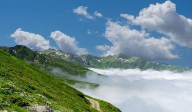 Yayla Tanımlandırılması