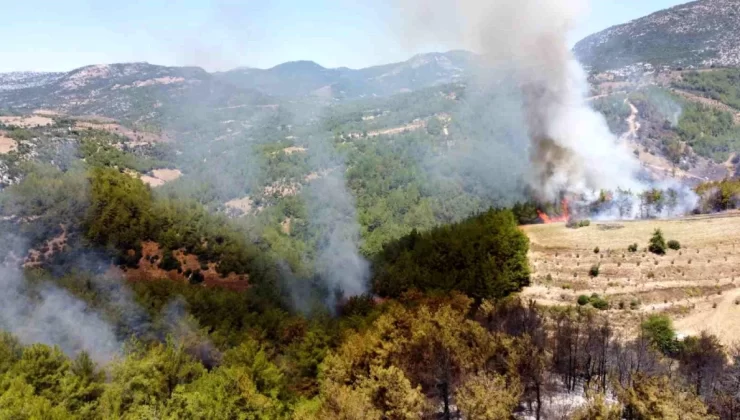 Kozan’da çıkan orman yangını havadan görüntülendi