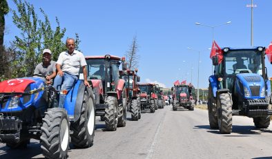 Balıkesirli domates üreticisi de isyanda