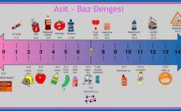 Asit ve Bazların Değerleri