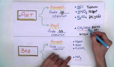 Asitler ve Bazlar