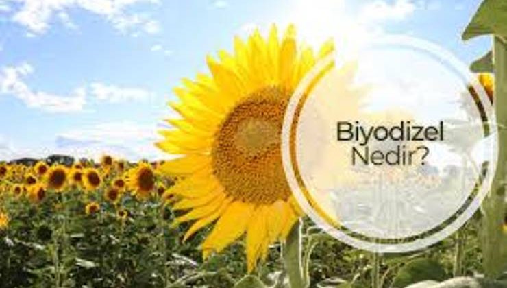 Biyodizel nedir?