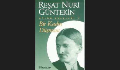 Bir Kadın Düşmanı Kitap Özeti