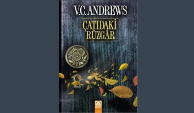 Çatıdaki Rüzgar Kitap Özeti