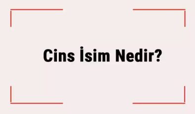 Cins İsim