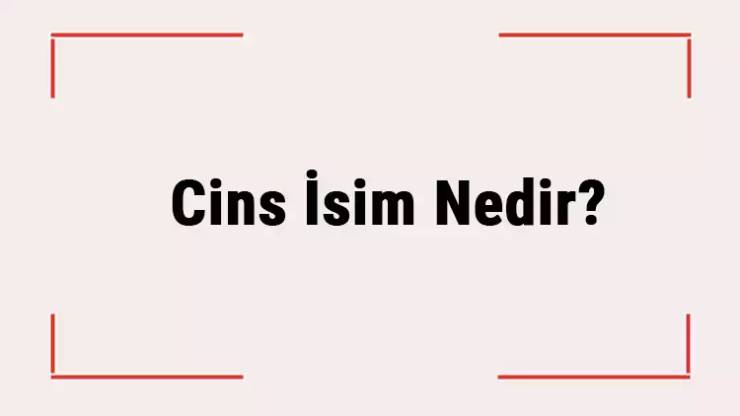 Cins İsim