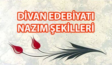 Divan Edebiyatı Nazım Şekilleri