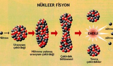 Fizyon-Füzyon ve Radyoaktif Bozulma