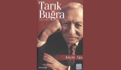 Küçük Ağa Kitap Özeti