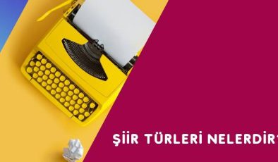 Şiir Türleri