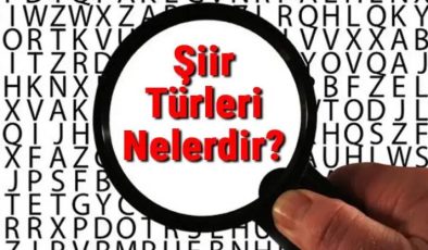 Şiir Türleri Ve Açıklamları