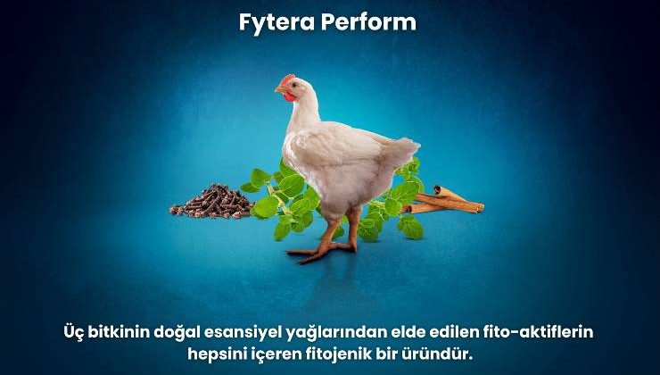 Kanatlı hayvanlar için doğal performans destekleyici inovatif ürün