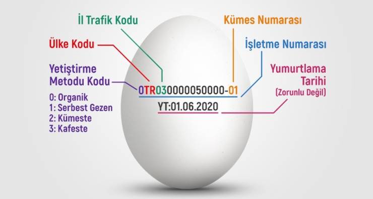 Yumurta kodları ve anlamları