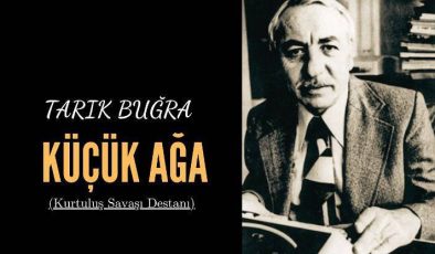 Küçük Ağa / Roman Özeti