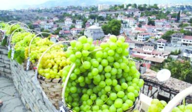 Safranbolu Çavuş Üzümü