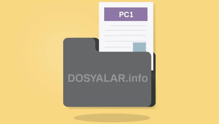 PC1 dosya uzantısı Degas Elite Low Res Image File