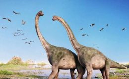 Yeni Bir Sauropod Dinozor Türü Keşfedildi