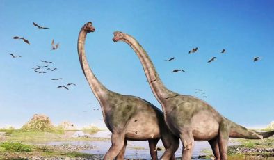 Yeni Bir Sauropod Dinozor Türü Keşfedildi