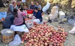 Feke’de Nar Ekşisi Üretimi Başladı