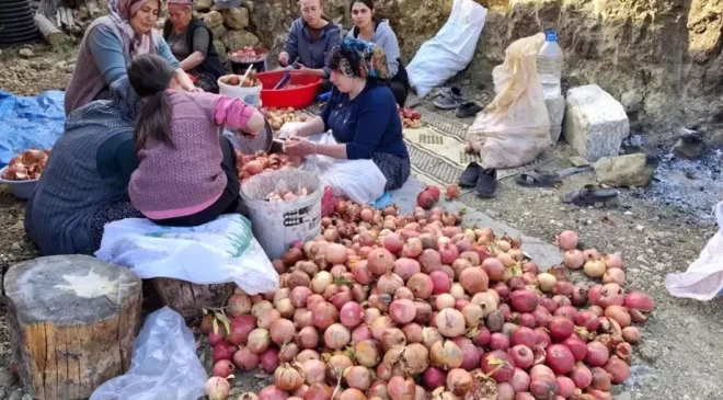 Feke’de Nar Ekşisi Üretimi Başladı