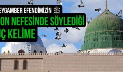 Peygamber Efendimizin Son Sözleri