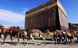 Müşriklerin İslamı engelleme çabaları