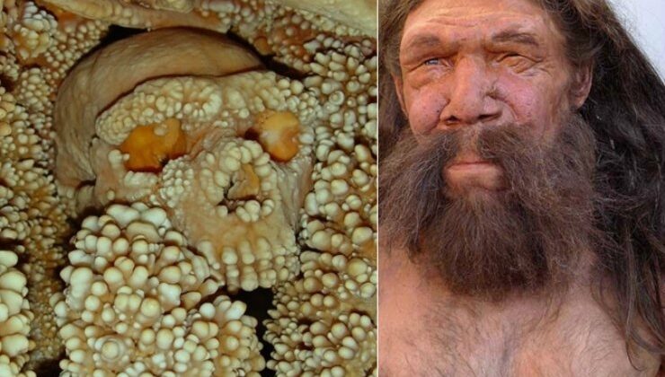 Altamura Neandertali Dişleri
