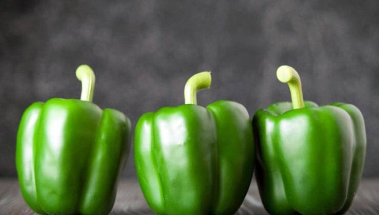 Dolma Biber Yetiştiriciliği