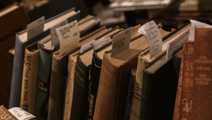 Dünya Edebiyatı – Fransız Edebiyatı