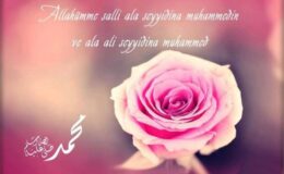 H.z Muhammed S.A.V  Salavatlar Ona Gider mi ?