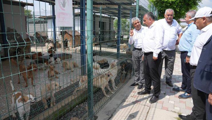 Güngör Geçer, Hayvan Barınağı’nda incelemelerde bulundu