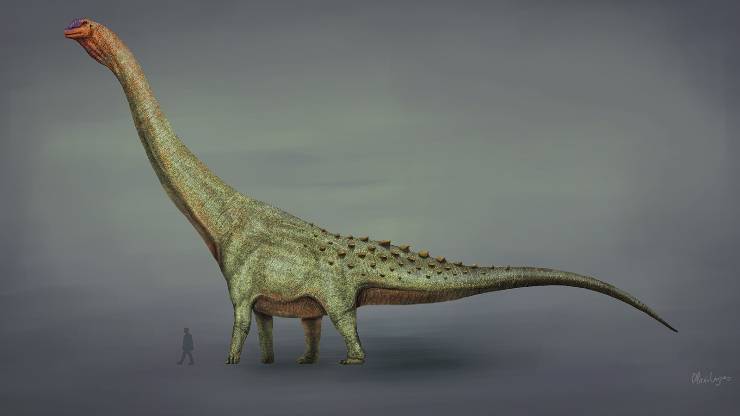 Patagotitan mayorum