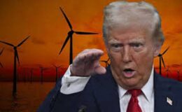 Donald Trump rüzgar enerjisine savaş açtı