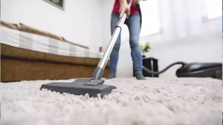 Elektrikli Süpürgeye Çekilen Örümcek Çıkar mı?