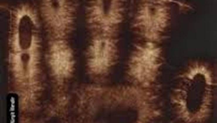 Ellerimizin gözle görülmeyen bir ışık yaydığını biliyor muydunuz?