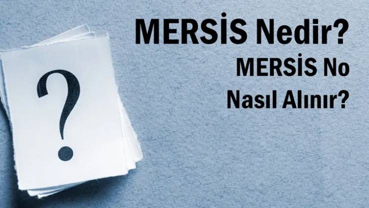 Mersis No Ne Demek? SMS Veri Kaynağı